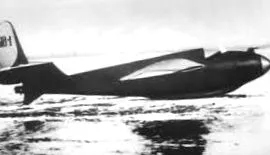 bi-1