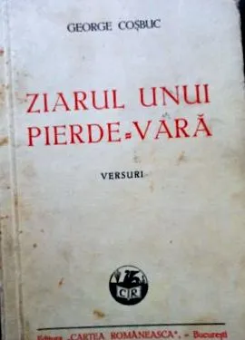 vagy vagy