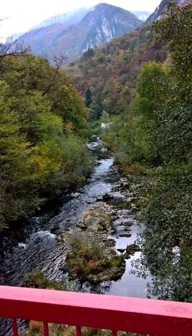 ванни