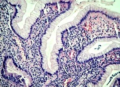 epathology