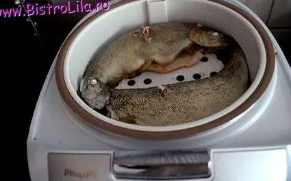 párolt