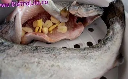 párolt