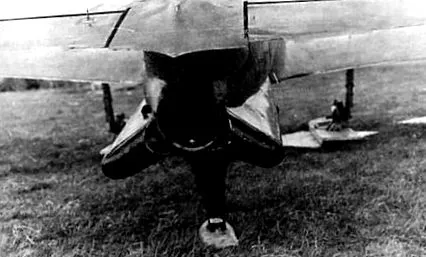 bi-1
