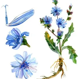 comună
