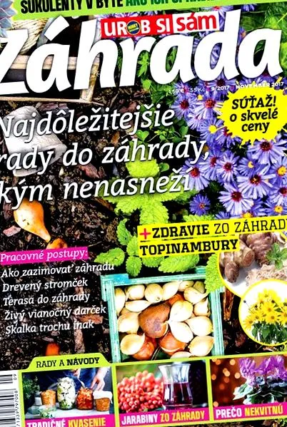actual revistei