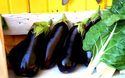 vară