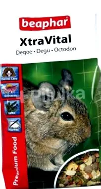 degu