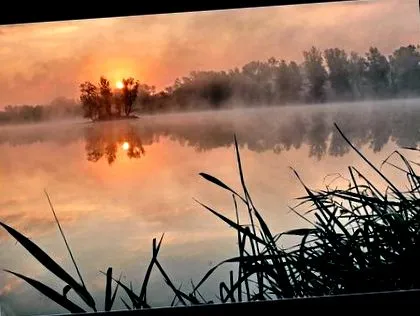 scene