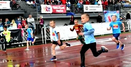 асомира каза Волко