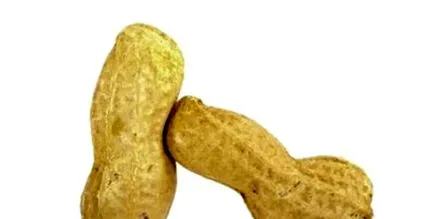 îngrășare