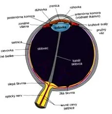 culoarea