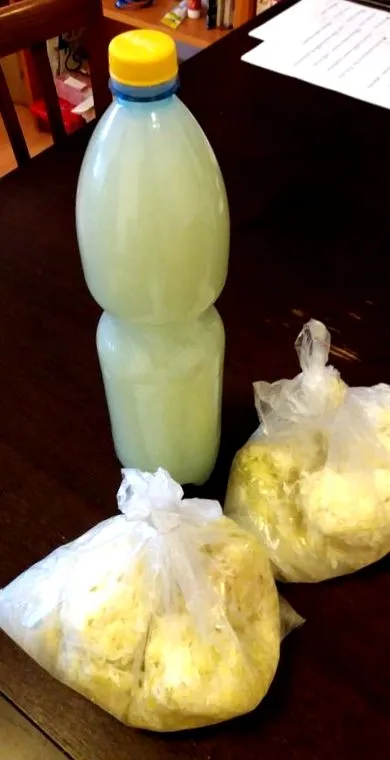 fermentată fermentată