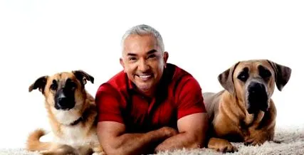 millan