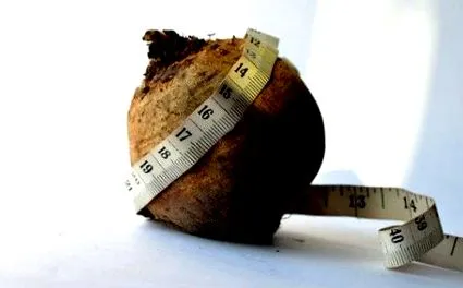 sfeclă fitness