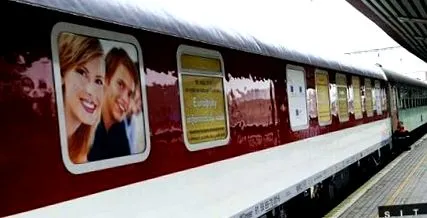 șase