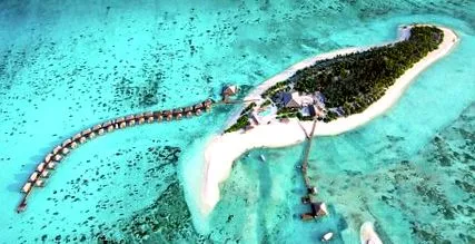 cocoon maldives