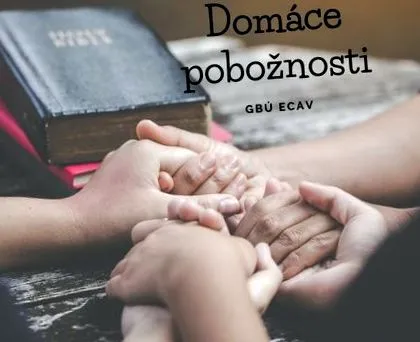 servicii domiciliu