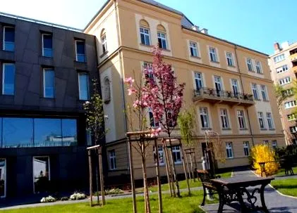 exerciții