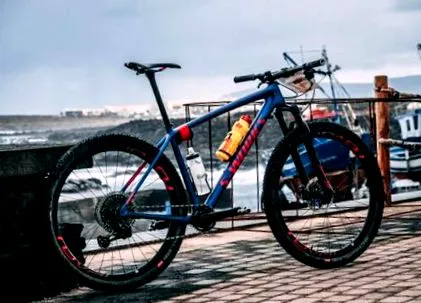 specialized