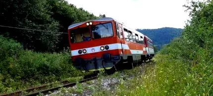 exploatații