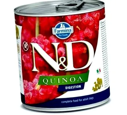 quinoa