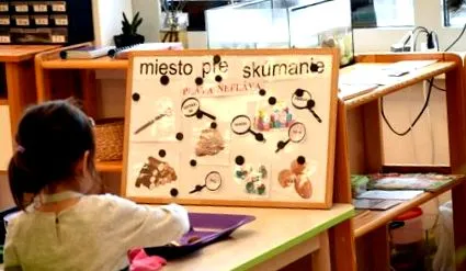 principii principii