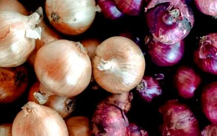 caramelizeze frumos frantuzeasca