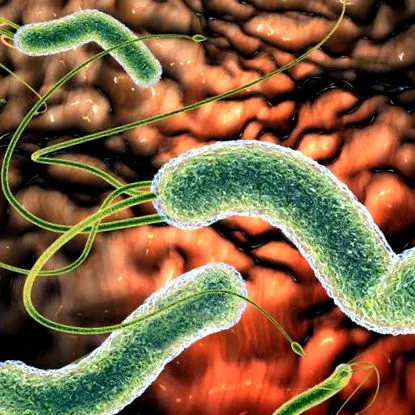 helicobacter simptome