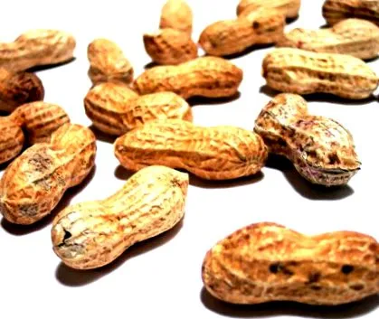 alimentelor