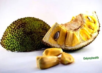 jackfruit toxice