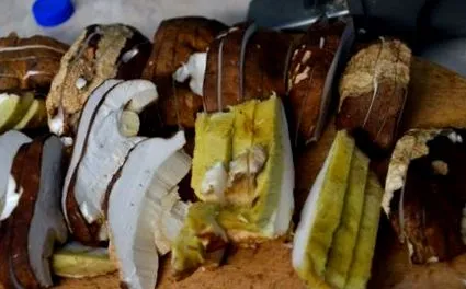 gombavágások