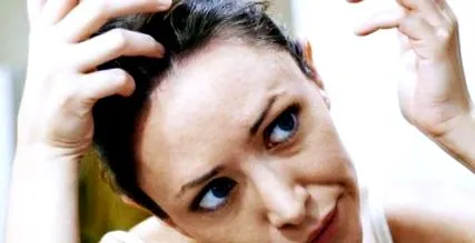бучки