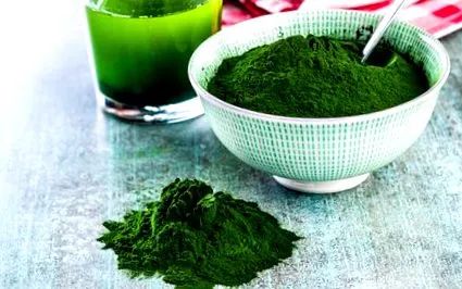 chlorella