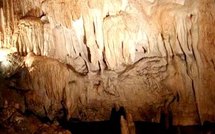 slovacia
