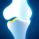 celule