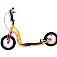 scooter raicot
