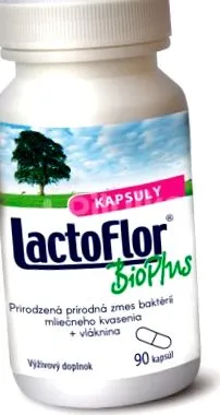 bacterii lactice