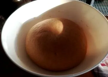 lapte lapte
