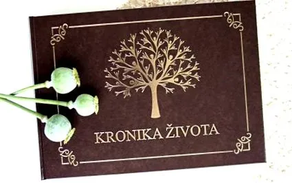 krónikája