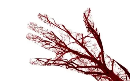 imunitate sanguine