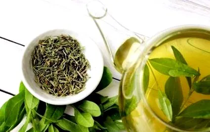 plante