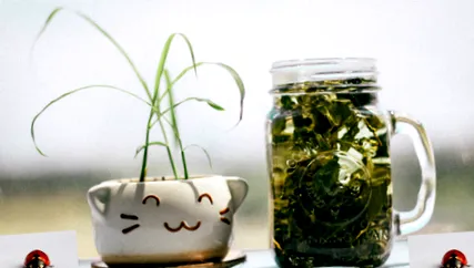 partea partea