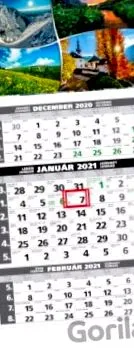 2011 calendarul