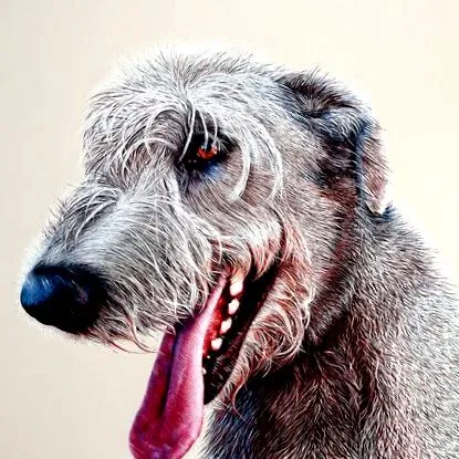 pictează animalele