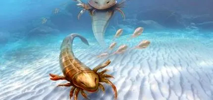artropod