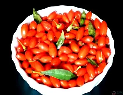 goji-val