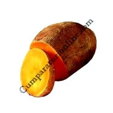 prodlacta