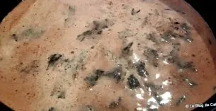 cătă