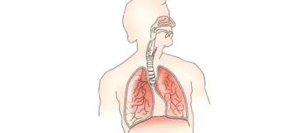 bronchoscopy