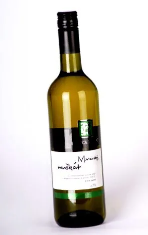 moraviană